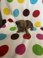 processed/7fefcf96-de13-4ea9-99af-06f772236746/listing/6755767a-7247-4e2f-a244-3f743e6242e5/a6e1b268-cb80-4d1d-842c-592a3e21024c