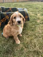 processed/7ffad38e-1a12-46a2-8969-cb81bf1e388f/listing/1bfe459d-7bb5-43b7-9e20-e87cd0bac64a/002bd2fc-9d44-45ac-a968-ff8200b0b443