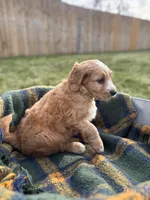 processed/7ffad38e-1a12-46a2-8969-cb81bf1e388f/listing/1bfe459d-7bb5-43b7-9e20-e87cd0bac64a/70281395-a1a1-4a1a-a54d-1d668cb64f27