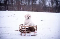 processed/8002c550-178f-4099-acb8-1a7c26aef1ea/listing/7d1108ea-1fd7-42dc-9ef2-7ba598d4060f/7f38cdac-1d43-4265-b3c7-856ef89c7da7