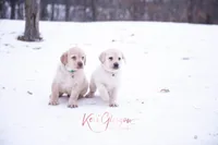 processed/8002c550-178f-4099-acb8-1a7c26aef1ea/listing/7d1108ea-1fd7-42dc-9ef2-7ba598d4060f/e7d64a75-3ce7-484e-a3ef-86afc7aac0b2