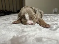 processed/800b2e8b-45e4-4ee1-8ab8-b744dec491fe/listing/5f91f573-5ea4-457f-85ca-2f57682d2cfb/b1e73596-5ba9-41ab-add6-6d7dc29cf953