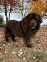 processed/800fd8c3-5a78-4e3d-9fd2-4d2c39b64fe9/facility/224e00b0-bdb7-43be-b6b7-8d254fd896dc