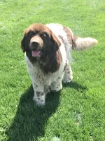 processed/800fd8c3-5a78-4e3d-9fd2-4d2c39b64fe9/facility/5637c8e1-e8dd-4729-8c2d-b909e6099486