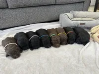 processed/800fd8c3-5a78-4e3d-9fd2-4d2c39b64fe9/facility/9aabf7ca-a474-4457-99be-30ed6ded9c51