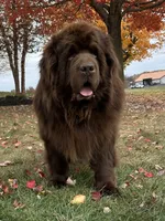 processed/800fd8c3-5a78-4e3d-9fd2-4d2c39b64fe9/facility/aa0347da-46a7-44eb-8daa-0364fa2b398b