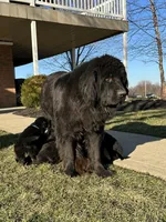 processed/800fd8c3-5a78-4e3d-9fd2-4d2c39b64fe9/facility/b1c7fc05-d118-493e-9d62-45c665c5e8db