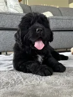 processed/800fd8c3-5a78-4e3d-9fd2-4d2c39b64fe9/facility/c0829a78-c40d-4bf5-9e99-03d1b262fab2