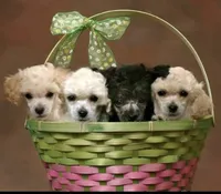 processed/80152d1e-7523-4aa1-ae31-3fbfa1c9b2b5/facility/5ef4bb12-fd29-43d1-94d2-a16159e36f0d