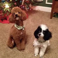 processed/80152d1e-7523-4aa1-ae31-3fbfa1c9b2b5/facility/6b910bcb-d035-4342-b811-8bee3e5288d4