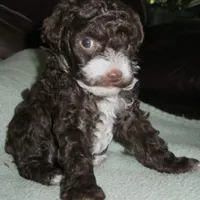 processed/80152d1e-7523-4aa1-ae31-3fbfa1c9b2b5/facility/84cfcaa4-ccea-48f6-88d1-2210a4c03218