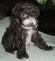 processed/80152d1e-7523-4aa1-ae31-3fbfa1c9b2b5/facility/84cfcaa4-ccea-48f6-88d1-2210a4c03218