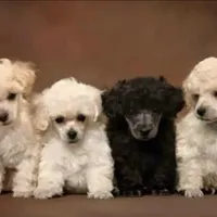 processed/80152d1e-7523-4aa1-ae31-3fbfa1c9b2b5/facility/88f5f5bf-1d02-4136-a5dd-4a6324eea72a