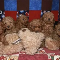 processed/80152d1e-7523-4aa1-ae31-3fbfa1c9b2b5/facility/b9832bda-bccd-4889-bde4-9beb7377e9b4