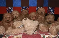 processed/80152d1e-7523-4aa1-ae31-3fbfa1c9b2b5/facility/b9832bda-bccd-4889-bde4-9beb7377e9b4