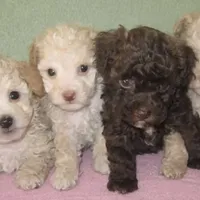 processed/80152d1e-7523-4aa1-ae31-3fbfa1c9b2b5/facility/c492f692-dbcd-48a7-9935-313d3a336f7f