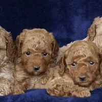 processed/80152d1e-7523-4aa1-ae31-3fbfa1c9b2b5/facility/e6785181-c06a-46c9-96d8-b1e65e6ec461