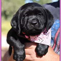 processed/802561f8-dc13-433b-b101-36c0f47b8d90/facility/256f2bc7-f1fe-404b-9657-bbd6b18a80e2