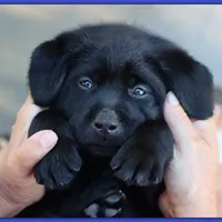 processed/802561f8-dc13-433b-b101-36c0f47b8d90/facility/389703fd-b97f-45a6-b8ea-a72fc8e47740