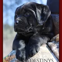 processed/802561f8-dc13-433b-b101-36c0f47b8d90/facility/3d463af1-fda4-4961-bd05-a5595f48b484