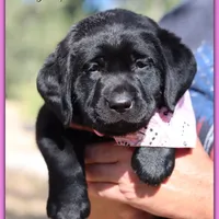 processed/802561f8-dc13-433b-b101-36c0f47b8d90/facility/4de97ae7-2f6f-47bb-a323-7d9d4da245f9