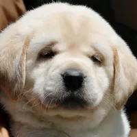 processed/802561f8-dc13-433b-b101-36c0f47b8d90/facility/60773f47-9a92-485c-ab6d-b57b580e90b4