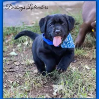 processed/802561f8-dc13-433b-b101-36c0f47b8d90/facility/72645ee8-1f91-47f3-8646-94309706aa9e