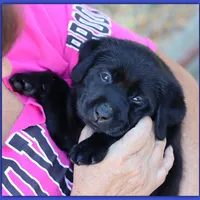 processed/802561f8-dc13-433b-b101-36c0f47b8d90/facility/912c21ed-8ed8-4619-b5eb-fa850775937c