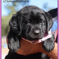 processed/802561f8-dc13-433b-b101-36c0f47b8d90/facility/9f7afc3b-f2e5-4721-90f5-7f0d5715e2dc