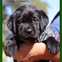 processed/802561f8-dc13-433b-b101-36c0f47b8d90/facility/c5bfc1fd-2523-45b1-a822-0b417a6146a6