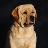 processed/802561f8-dc13-433b-b101-36c0f47b8d90/facility/c93d1582-c083-4a21-8673-d21c5f459d77