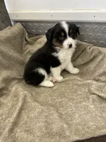 processed/8038f593-1b01-4156-ba4f-2debf2d342a9/listing/4ae6e942-0580-4798-9705-50649985654e/365ea56b-a575-48b7-b620-4698b0724267