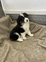 processed/8038f593-1b01-4156-ba4f-2debf2d342a9/listing/4ae6e942-0580-4798-9705-50649985654e/955fdef0-1142-42d3-a6c8-67c84dbc7bd6