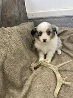 processed/8038f593-1b01-4156-ba4f-2debf2d342a9/listing/6ffce801-3cd6-42bf-9ef6-65e53da33d76/40f508bc-867c-4782-a9c1-fd8202f4b8e2