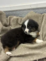 processed/8038f593-1b01-4156-ba4f-2debf2d342a9/listing/9d31086d-ce51-4592-8772-25bbc705515a/362a9d72-86a9-4387-aa64-225d3a6f0e26