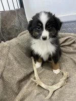 processed/8038f593-1b01-4156-ba4f-2debf2d342a9/listing/9d31086d-ce51-4592-8772-25bbc705515a/40042e74-c415-46bc-8bb7-45c22b75d779