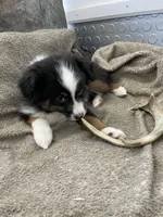 processed/8038f593-1b01-4156-ba4f-2debf2d342a9/listing/9d31086d-ce51-4592-8772-25bbc705515a/45842e3e-255b-48bc-b24c-06ae807dec70