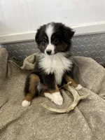 processed/8038f593-1b01-4156-ba4f-2debf2d342a9/listing/9d31086d-ce51-4592-8772-25bbc705515a/4ecd2534-8978-4164-b2c9-82128dfa9cca