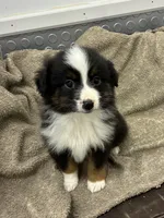 processed/8038f593-1b01-4156-ba4f-2debf2d342a9/listing/9d31086d-ce51-4592-8772-25bbc705515a/e84e854e-1e68-478b-b7f4-f8584519a0c6