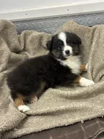 processed/8038f593-1b01-4156-ba4f-2debf2d342a9/listing/9d31086d-ce51-4592-8772-25bbc705515a/fb0af127-f48c-483f-b9fb-bd126db18950