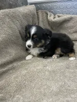 processed/8038f593-1b01-4156-ba4f-2debf2d342a9/listing/9fd132dc-b3d4-4271-9d1b-f5256acfbefb/2a8e92fb-64f4-4580-bb0e-7c41fd751c47