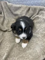 processed/8038f593-1b01-4156-ba4f-2debf2d342a9/listing/9fd132dc-b3d4-4271-9d1b-f5256acfbefb/67aaf610-642e-4889-95d5-b1ca2f9f7448