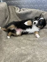 processed/8038f593-1b01-4156-ba4f-2debf2d342a9/listing/9fd132dc-b3d4-4271-9d1b-f5256acfbefb/6fc5731e-451d-4e02-9e87-a4cddd1bf816