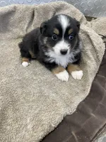 processed/8038f593-1b01-4156-ba4f-2debf2d342a9/listing/9fd132dc-b3d4-4271-9d1b-f5256acfbefb/c1413af4-cb8b-41bd-8532-10e853bb1b86