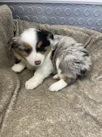 processed/8038f593-1b01-4156-ba4f-2debf2d342a9/listing/c37c13a1-8c2a-46fb-bc78-87e9e0a7992c/68b0d10a-2781-4ad3-97a2-4b0703b6f9f2