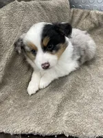 processed/8038f593-1b01-4156-ba4f-2debf2d342a9/listing/c37c13a1-8c2a-46fb-bc78-87e9e0a7992c/a82875a6-1619-4699-84ef-a64fd4668f02