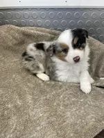 processed/8038f593-1b01-4156-ba4f-2debf2d342a9/listing/c37c13a1-8c2a-46fb-bc78-87e9e0a7992c/cd00de2b-6e26-4f92-98c8-e15d8e1b0707