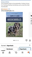 Badger, a female Miniature Aussiedoodle for sale in Christopher, IL – 6 of 9