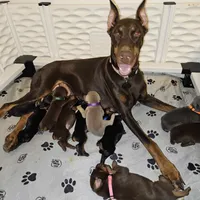 processed/8053edf0-7b80-4b88-8876-c3a61c36415e/facility/24ea5378-0361-4d1e-a022-5490e575248d