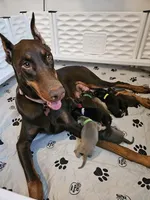 processed/8053edf0-7b80-4b88-8876-c3a61c36415e/facility/afd89f06-5857-4ee8-9272-adc9b466d5d3